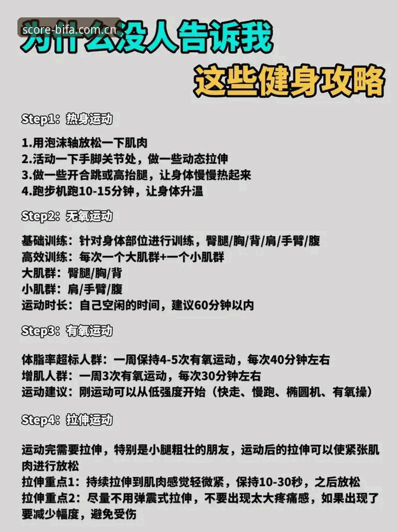 新手必备：必发体育平台使用指南全面解析，从入门到精通只需三步